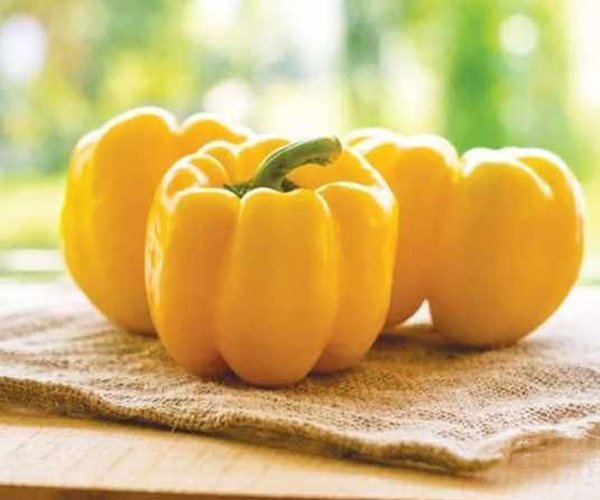 Перец Соланор F1