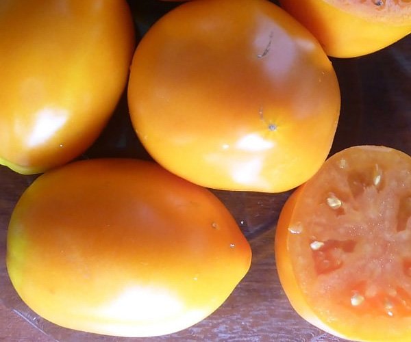 Томат Золотое Сердце